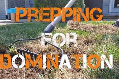 Preparing Your Lawn For Fall Renovation #diy #aerator #lawn #renovation