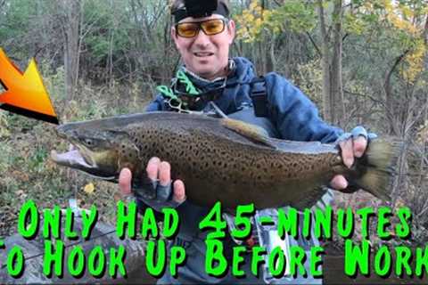 Fly Fishing Milwaukee River for Trout &amp; Salmon Before Work | ONLY have 45 minutes!