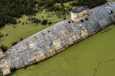 Man Saw Something Strange In The Swamp, And Decided To Come Closer To Look