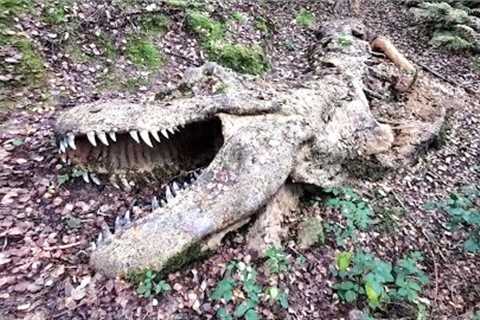This Paleontologist Made A Surprising Discovery After She Dug Up This Tyrannosaurus Rex &amp; Found ..