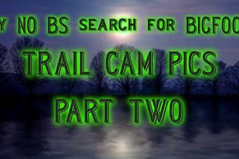 The trail cam video's