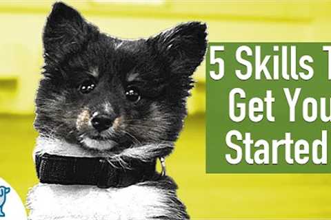 8 Week Old Puppy Training - 5 Exercises To Get You Started!