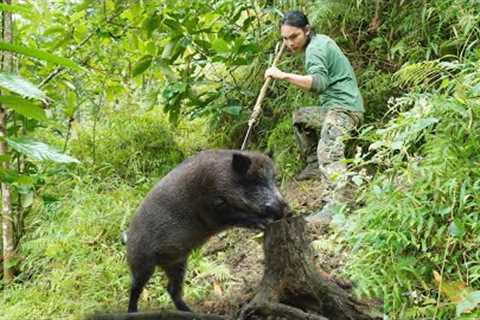 Detecting boar footprints, skills, to set traps to bring back to raise, survival alone