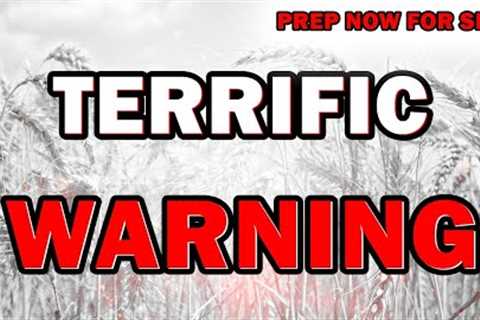 🚨PREP NOW🚨TOP SECRET PLAN LEAKED | SHTF 2022 PREPPER/PREPPING SURVIVAL NEWS 2022