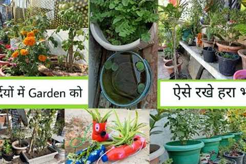 Winter Season 1/2 gardening | flowers/vegitables seeds | gardening ideas |fertilizer for home plants