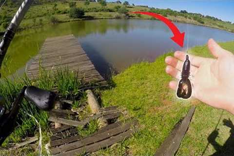 Summer Bass Fishing Using Craw Baits. (ft RTHFishingSA) Kloofzight Lodge &amp; Spa