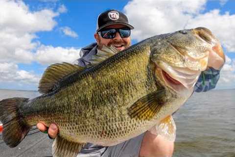 RAW and UNCUT Fishing For BIG Bass!