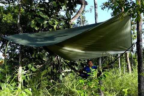solo shelter camp in forest, Survival catch the fish and cook