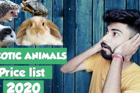 Exotic pets ka shouk hai toh prices jaan le | Exotic pets | popular pet prices in India 2020