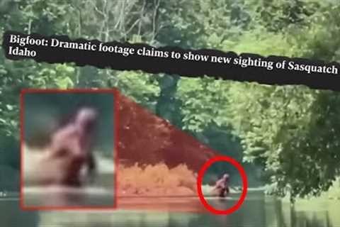 20 SHOCKING Bigfoot Sightings &amp; Encounters That Will Keep You OUT The Woods...