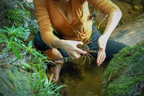 Wild survival with just a machete, skills to live in the rainforest