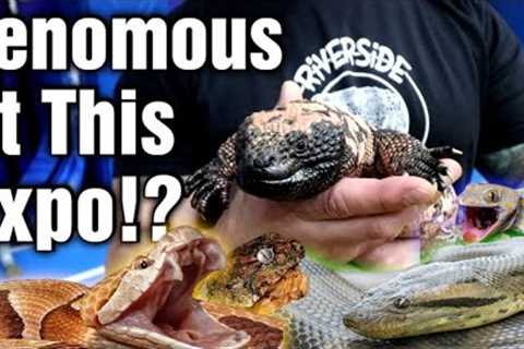 I Found INSANE Reptiles At This Reptile Expo