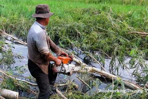Nothing Can Stop This Chainsaw! STIHL Chainsaw Cutting Tree In Water Conditions
