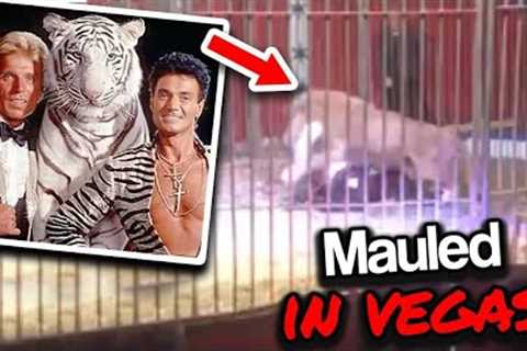 Vegas Performers Siegfried And Roy Unexpected Ending