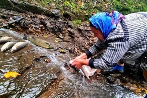 GRANDMA COOKED NATIONAL DISH OF AZERBAIJAN - NUTS INSIDE FISH