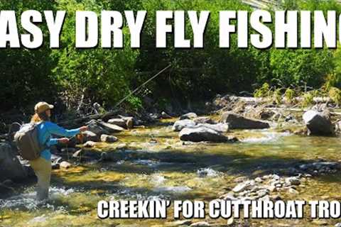 Easy Dry Fly Fishing: Small Creek Cutthroat Trout. Reading Water &amp; High Catch Rate