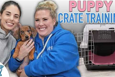 Puppy Crate Training Doesn't Need To Be STRESSFUL!
