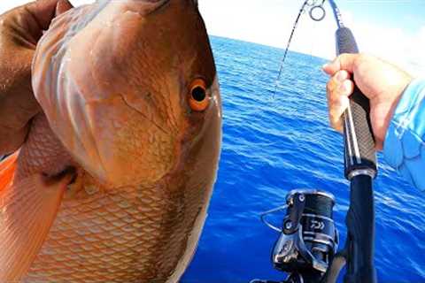 Catching Mutton snapper on the Islamorada Humps {Catch N Cook}