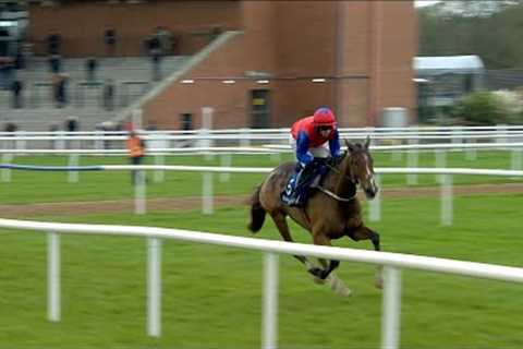 Facile Vega  stunning on hurdles debut - Racing TV