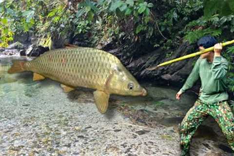 Survival skills, catching stream fish, survival alone, survival instincts