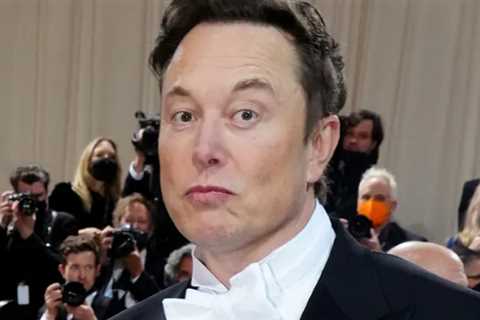 Elon Musk Says 'Significant' Risk of Assassination, Talks Hunter Biden, Free Speech
