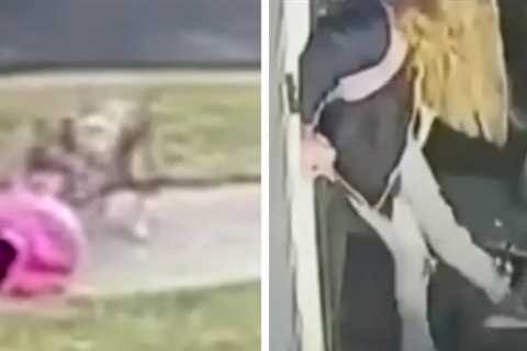 Parents Fight Off Coyote, Raccoon In Pair of Animal Attacks Caught on Film