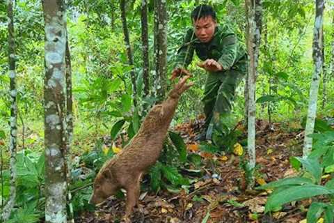 FULL VIDEO: 65 days of survival in the wild, skills, boar traps, survival instincts