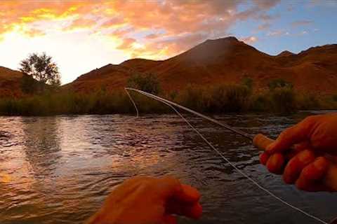 Is this Fly Fishing Heaven??  Hammering Big Rainbows &amp; Browns on Hoppers and PMDs!