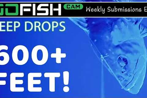 EP6 Weekly Submissions: DEEP DROPS 600+ FEET!