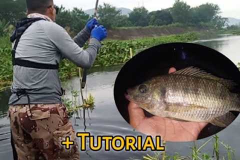 The Best Bait &amp; The Most Effective Fishing Rig for Tilapia Hunting | Fishing
