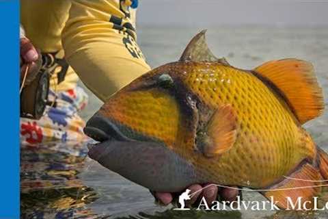 Flat Out Strange - Fly Fishing For Trigger Fish In Sudan