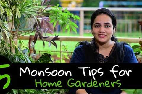 15 Monsoon Tips for Home Gardeners | Gardening in rains | Gardening Tips