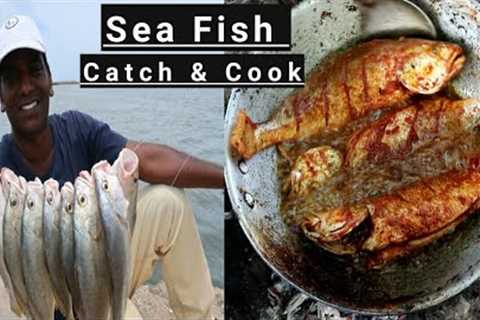 Sea Fish Catch and Cook | Colab with Kadal Raasa  | Johnius Glaucus Catching inshore