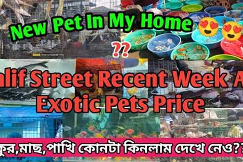 Galif Street pet Market all exotic pets price🦜🐹🐕🐬|| New Pet In My Home 😍❤️