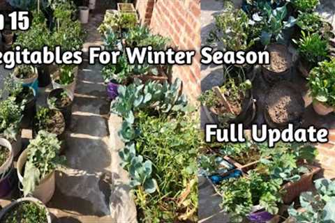 Top 15 Winter Vegitables Easy To Grow At Home|Home Gardening|Winter Vegitables..