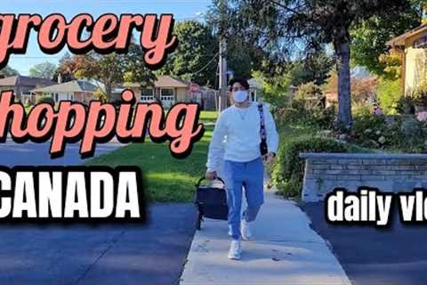 Grocery Shopping in Canada || 2022 || International Student || Vlog