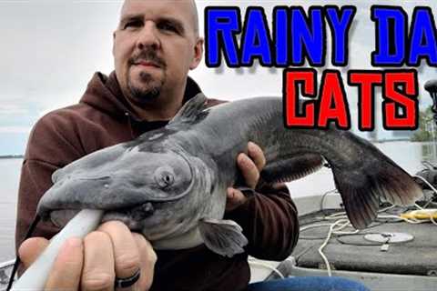 Fishing In The Rain - Big Channel Catfish Caught at Rend Lake