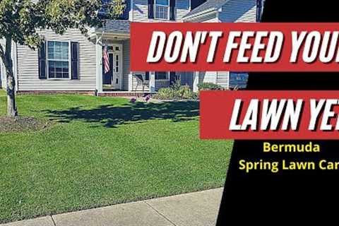 When Should I Fertilize My Lawn? Bermuda Lawn Care Tips 2021