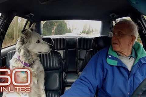 The smartest dog in the world | 60 Minutes Archive