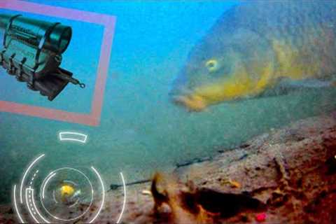 The moment a carp is caught was filmed with an underwater camera.【GoFish Cam】