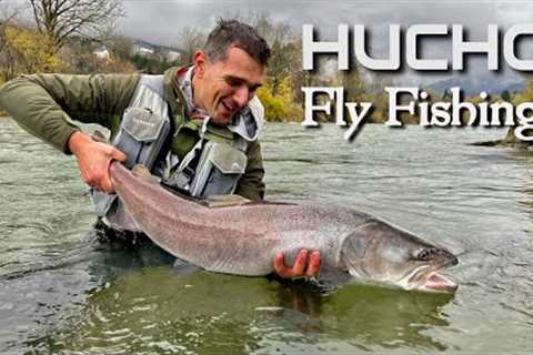 Hucho Fly Fishing | A big hucho on first cast | Time to celebrate 🥳