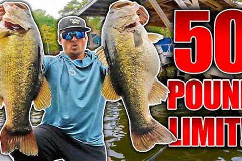 BEST DAY EVER SWIMBAIT FISHING ON YOUTUBE!! (15 Bass OVER 7 Pounds)