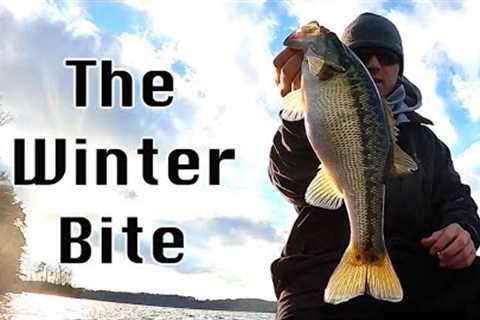 The Winter Bite Is On Fire! - Lake Lanier Bass Fishing