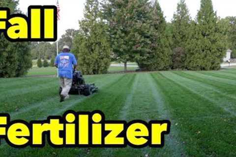 Fall Fertilizer For Cool Season Lawns