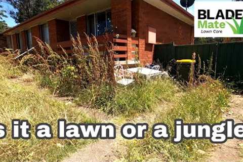 Ugly yard is now beautiful  - Mowing tall grass