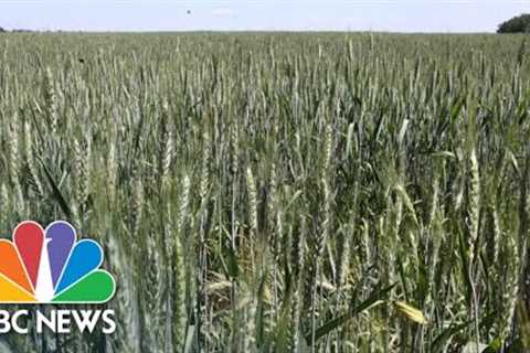 President Zelenskyy Warns Black Sea Blockade Could Spark Global Food Crisis
