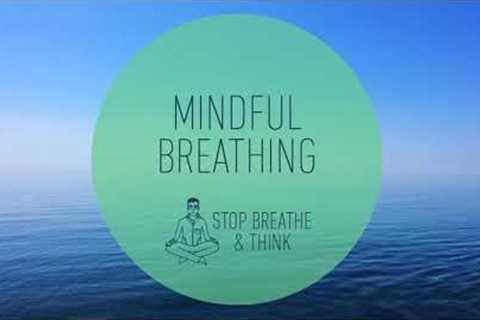 3 minute Mindful Breathing Meditation Relieve Stress