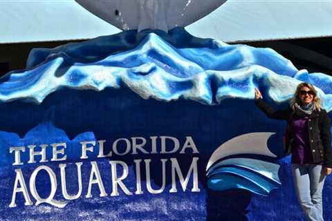 The Florida Aquarium - Afternoon For Kids