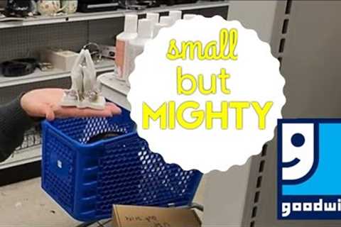 Small But Mighty Goodwill - Shop Along With Me - Goodwill Thrift Store - Shopping With Friends