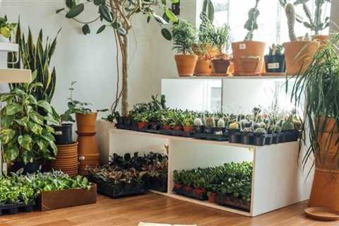8 Subscription Services to Make Your Home Happier